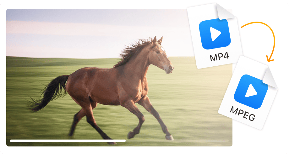 Perfecto para autoría de DVD