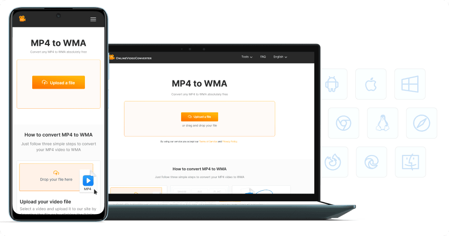 Sin instalación de software