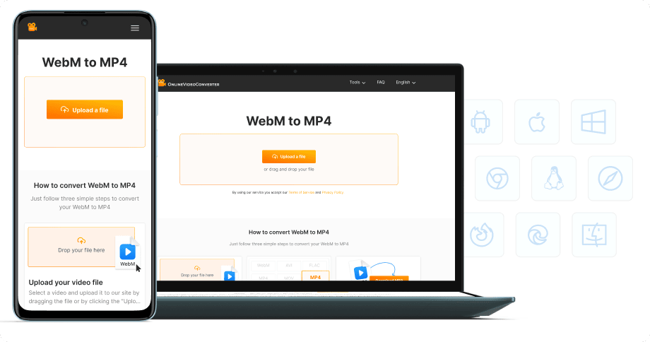 Sin instalación de software